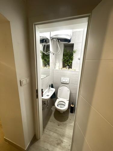 Apartment Zrinjevac