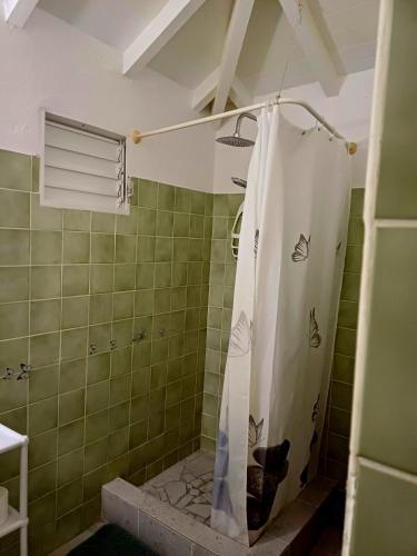 a bathroom with a shower with a shower curtain at Flamboyant in Sainte-Anne