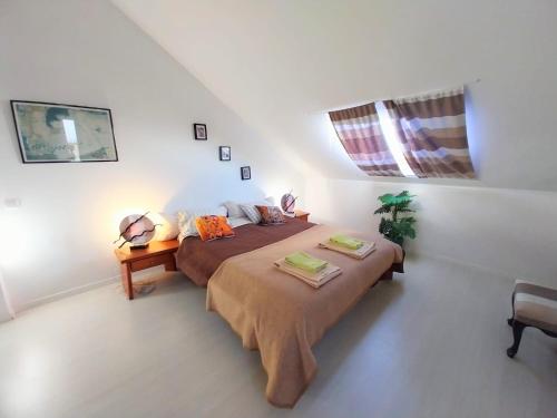 a bedroom with a bed and a window at Madeira Native Motion Apartment in Ponta do Pargo
