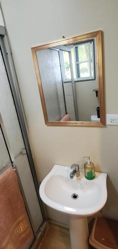 łazienka z umywalką i lustrem w obiekcie Nature's Nook w mieście Hope Bay