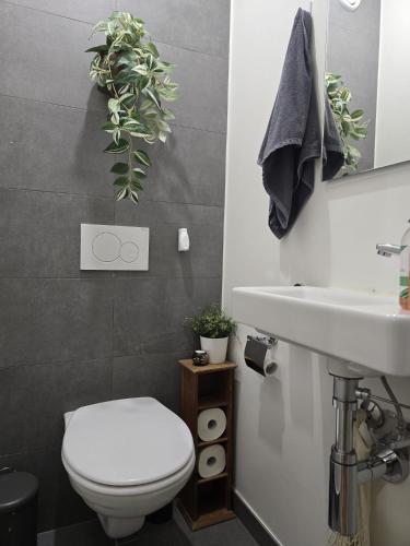 a bathroom with a white toilet and a sink at welcome geneva in Geneva