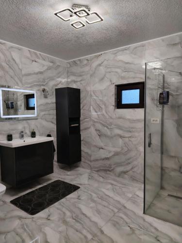 a bathroom with a shower and a sink at Casa AIDA in Peşteana