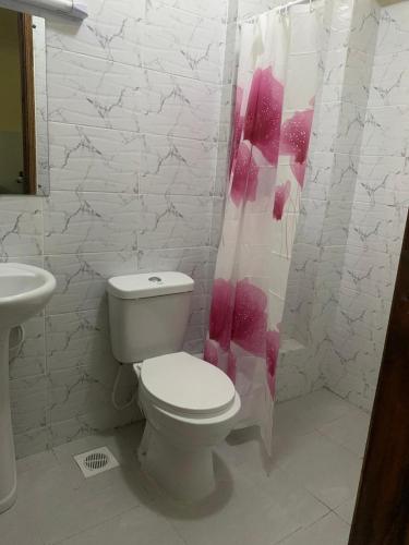 a bathroom with a toilet and a shower curtain at Casa Almasi in Nairobi