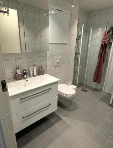 a bathroom with a sink and a toilet and a shower at Apartment 3 minutes from cablecar in Tromsø