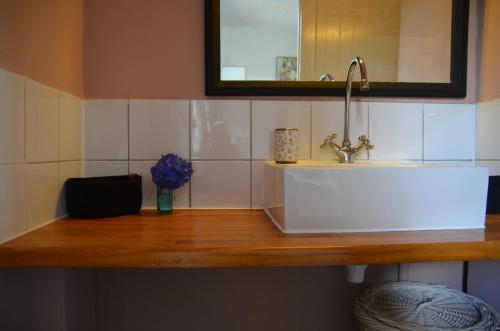 a bathroom counter with a sink and a mirror at Chateau de Salorges - Field gite I in Corancy