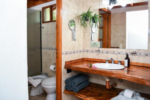 a bathroom with a sink and a toilet and a mirror at Complejo Falda del Sauce in Villa General Belgrano