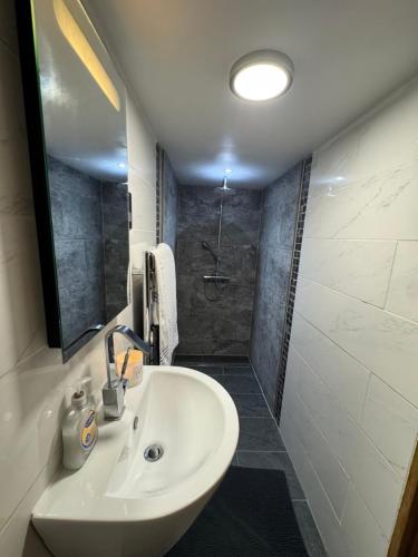a bathroom with a sink and a shower at Woodland, Canal & Lakeside Cottage in Ellesmere