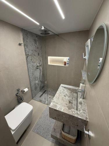 a bathroom with a toilet and a sink and a shower at TheCozy Home Tirana in Sauk
