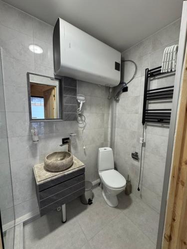 a bathroom with a toilet and a sink with a mirror at Panorama Mazeri in Tvebishi