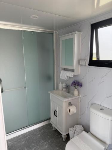 a bathroom with a toilet and a sink and a shower at Ultimate Vineyard Escape - Waipara in Waipara