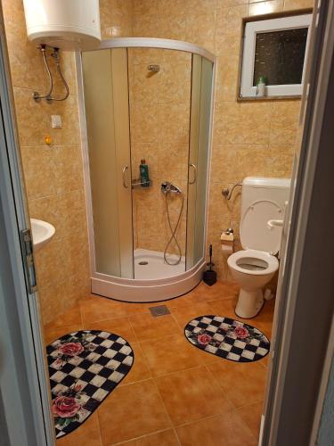 a bathroom with a shower and a toilet at Nature escape Sarajevo in Kasatići