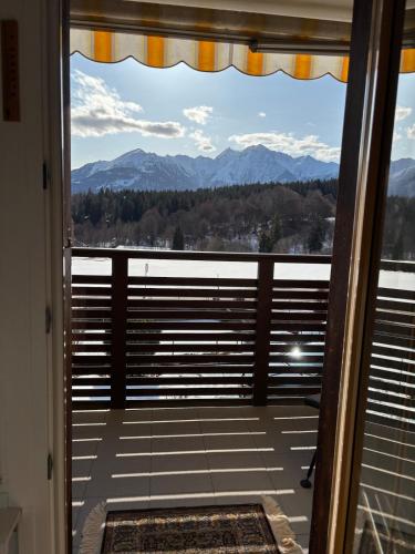 Cozy studio with a view