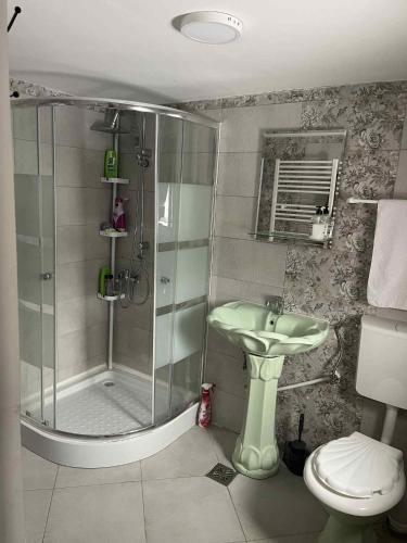 a bathroom with a shower and a sink and a toilet at Casa de sub pădure in Valcea