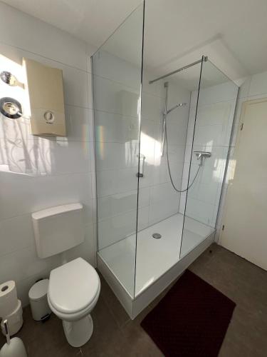 a bathroom with a toilet and a glass shower at Über dem Dörpken in Wuppertal