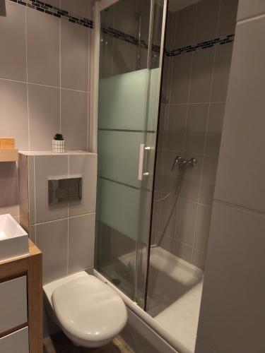 un bagno con wc e doccia in vetro di Studio cosy SUPERDEVOLUY a Le Dévoluy