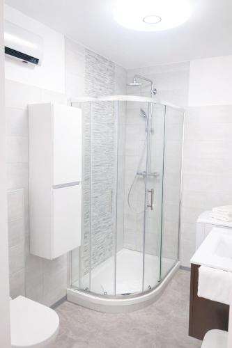 a white bathroom with a shower and a toilet at COSY LIVING in Huningue