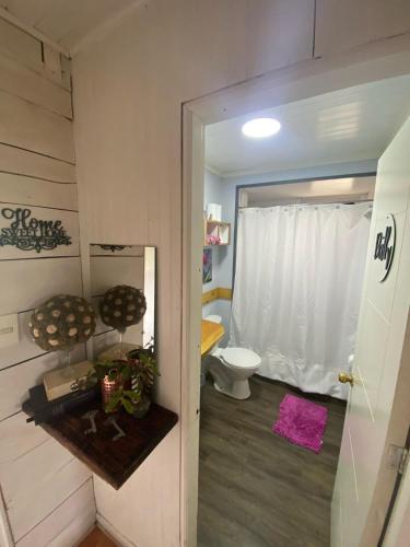 a bathroom with a toilet and a white curtain at La Casona del Trancura in Pucón