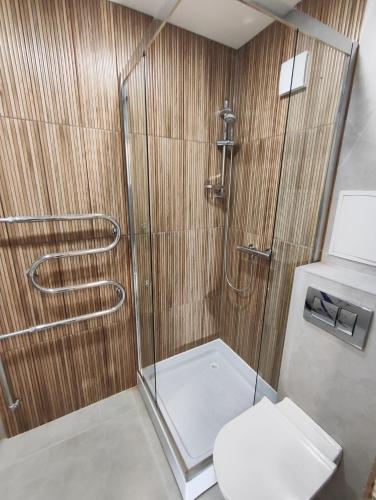 a bathroom with a shower and a toilet at Manere commoda in Šiauliai