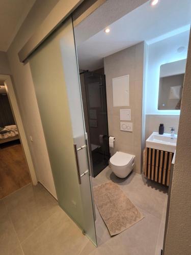 a bathroom with a toilet and a sink at Waldfeder Apartment mit Pool und Fitnessraum, neu und vollsaniert in Sankt Englmar