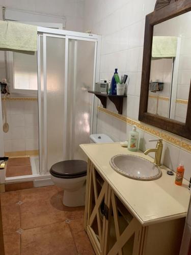 a bathroom with a toilet and a sink and a shower at Casa con encanto en Monachil in Monachil