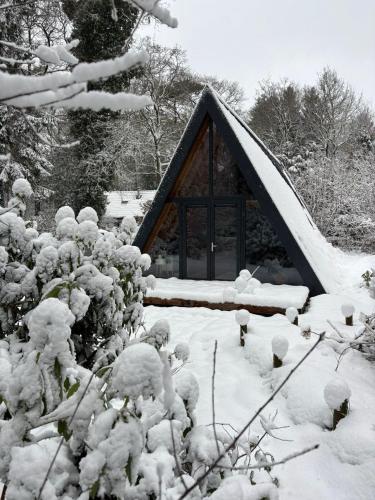 a house covered in snow in a garden at A-huis in het bos van Drenthe in Norg