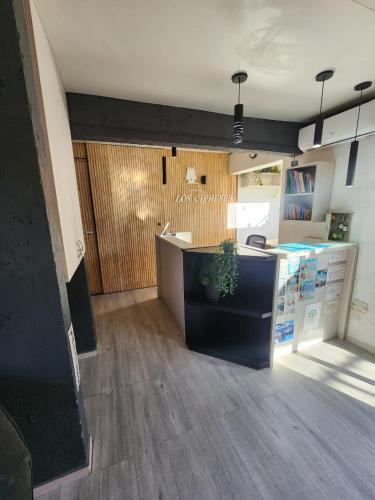 a kitchen with a counter with a plant in a room at Complejo Los Cipreses in Villa Carlos Paz
