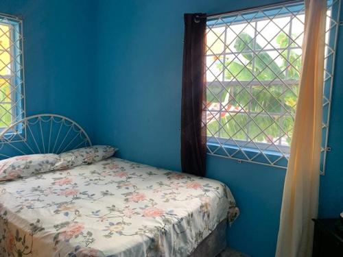 une chambre bleue avec un lit et une fenêtre dans l'établissement Jude Apartments, à Soufrière