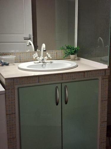 a bathroom counter with a sink and a mirror at RESIDENCE LA TAUPINE MANDARINE in Le Diamant