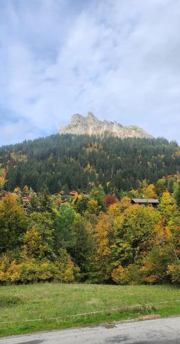 Pied des pistes, Bernex, Charmant F1 bis