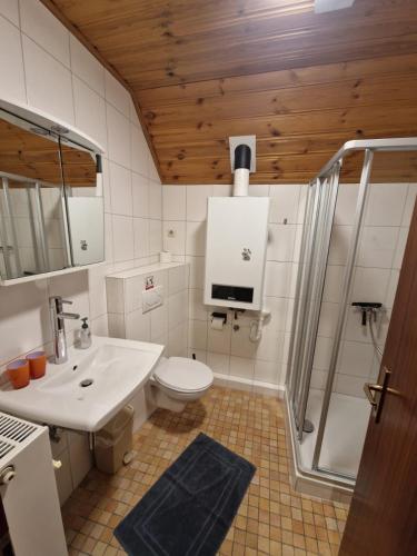 a bathroom with a toilet and a sink and a shower at Eifel Ferienhaus Luna in Ohlenhard