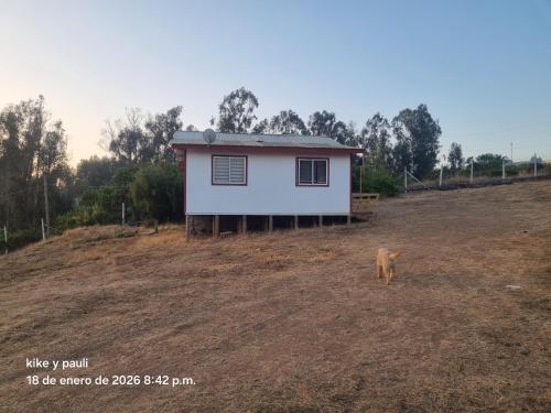 a house on a hill with a dog standing in front of it at Cabaña Quillaycillo in La Rudilla
