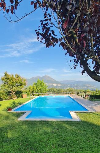 a blue swimming pool in a grassy yard at Quinta da Raiz in Canedo de Basto