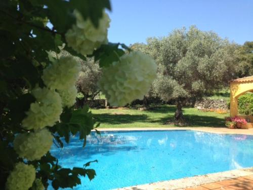 a blue swimming pool in a yard with trees at Apartamentos Rurales La Macera **** in Valencia de Alcántara