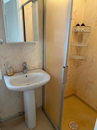 ein Badezimmer mit Waschbecken, Spiegel und Dusche in der Unterkunft Kalvsvik in Värmdö