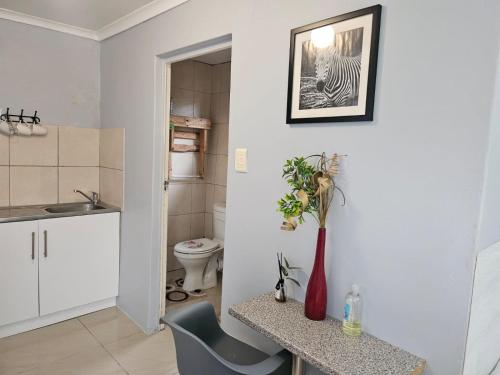 a bathroom with a table and a vase with a plant at Zufike Self Catering in Port Elizabeth