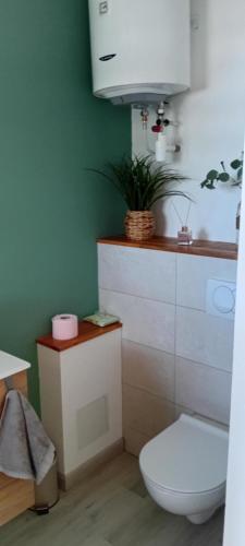 a bathroom with a toilet and a green wall at bambou studio in Les Avirons