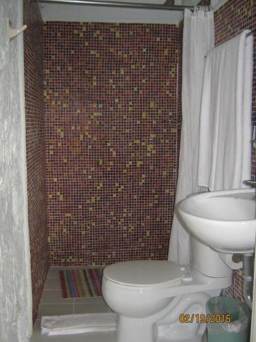 a bathroom with a toilet and a sink at Mama Chuy Hotel & Villas Ajijic in San Juan Cosalá