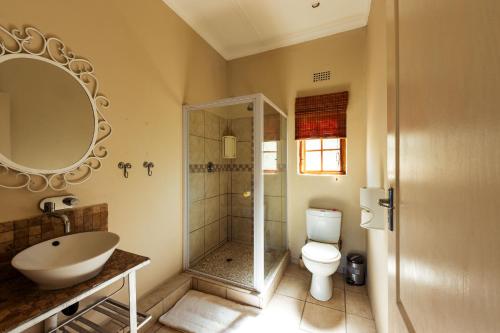 a bathroom with a shower and a toilet and a sink at Intibane Lodge in Ulundi