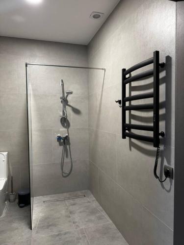 a shower stall in a bathroom with a glass door at Cottages Grun in Yablunytsya