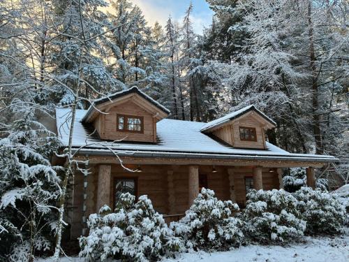 a log cabin with snow on the roof at Vakantiehuis de 7 geweien in Emst
