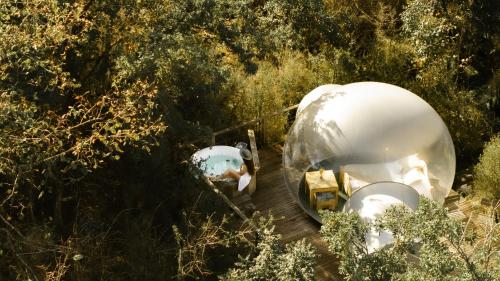 Bulle transparente