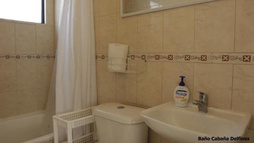 y baño con aseo, lavabo y ducha. en Cabaña Albergo Punta de Choros, en Punta de Choros