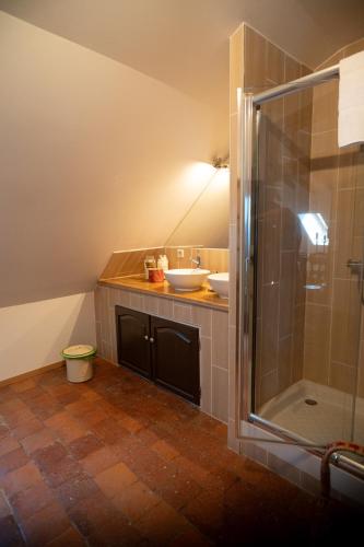 a bathroom with a sink and a shower at Les hauts des Soussilanges in Céron