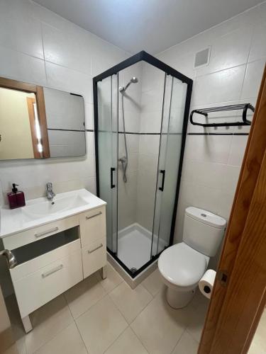 a bathroom with a shower and a toilet and a sink at Apartamento Senda in Comillas
