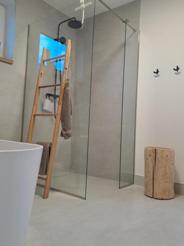 a bathroom with a glass shower with a wooden ladder at Chata Za Studeným potokom in Habovka