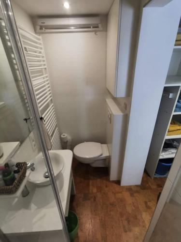 a small bathroom with a toilet and a sink at Studio face au château de Thy in Thy-le-Château