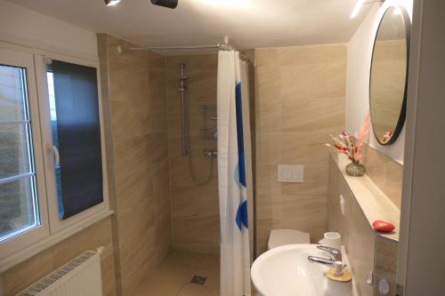 a bathroom with a shower and a sink and a toilet at theBlackwood in Todtnauberg