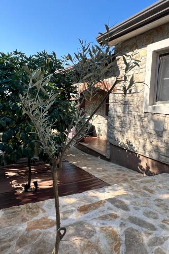 Beautiful Casa Mirejo with pool in Kastelir