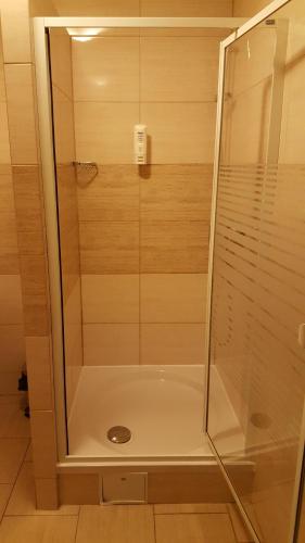 a shower with a glass enclosure in a bathroom at Zielony Dworek in Kraśnik