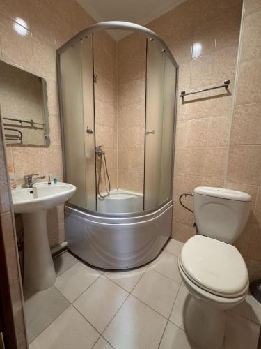 a bathroom with a shower and a toilet and a sink at Гостиница TERRA in Almaty